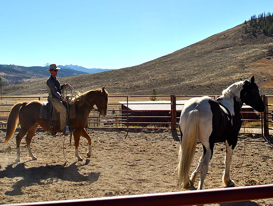 horsemanship training